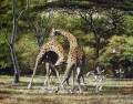 Duellieren Giraffen und Vögelen
